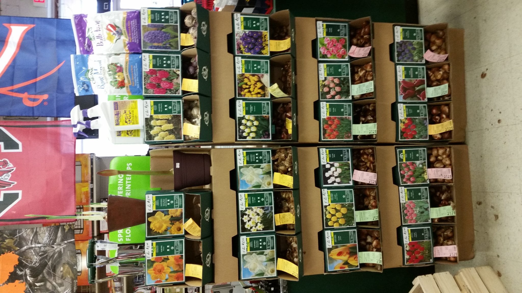 20151114_092814 McLean Hardware Co